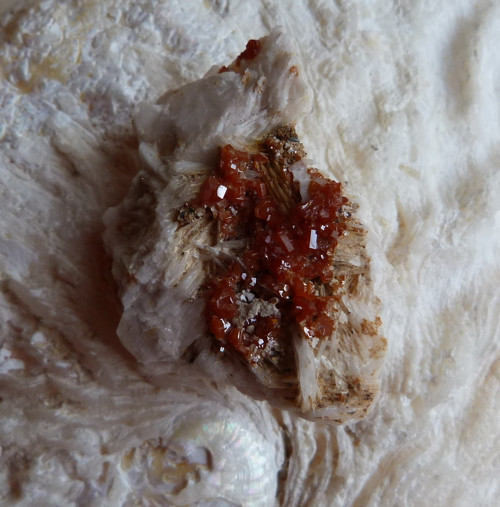 Vanadinit, baryt - 3,6 cm — foto 5