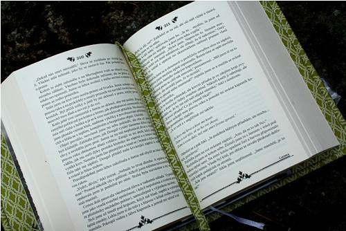 Sassenach - svatba — foto 3