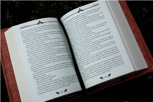 Sassenach — foto 3
