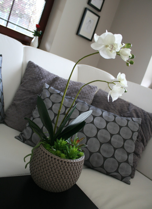 Pletený obal s orchidejí a sukulenty — foto 4
