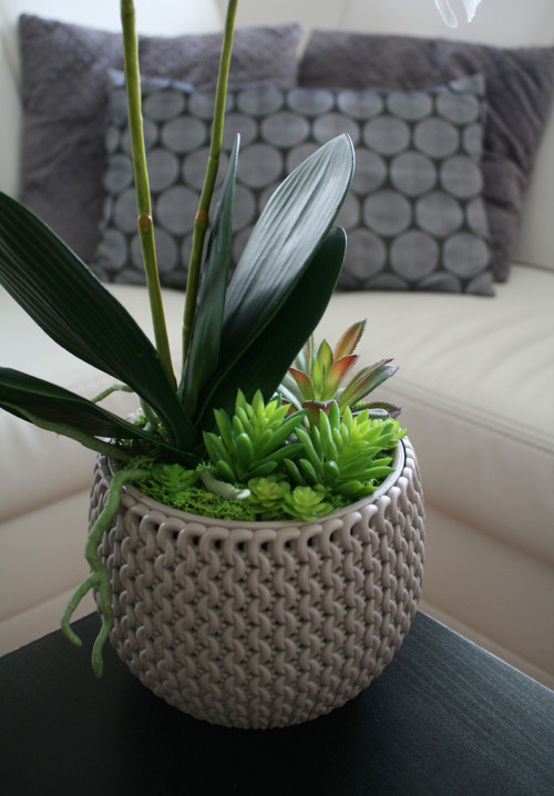 Pletený obal s orchidejí a sukulenty — foto 5