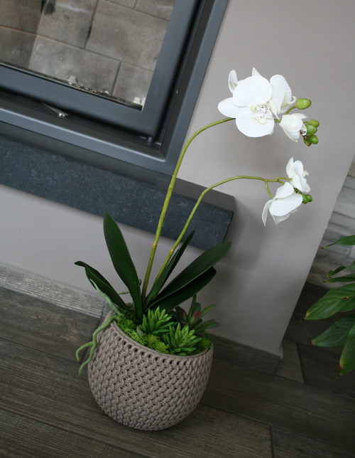 Pletený obal s orchidejí a sukulenty — foto 6