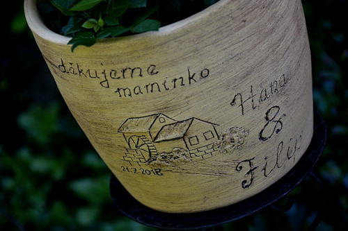 Obal - mlýn - rezervace — foto 5