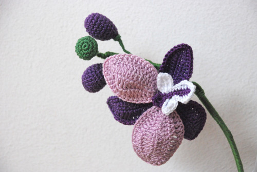 Háčkovaná orchidej — foto 3