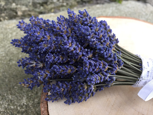 Levandulový svazeček střední — foto 2