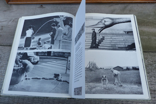 Photography Year Book 1966 — foto 6