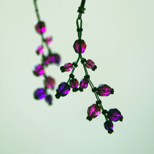 Fuchsijové pupence — foto 2