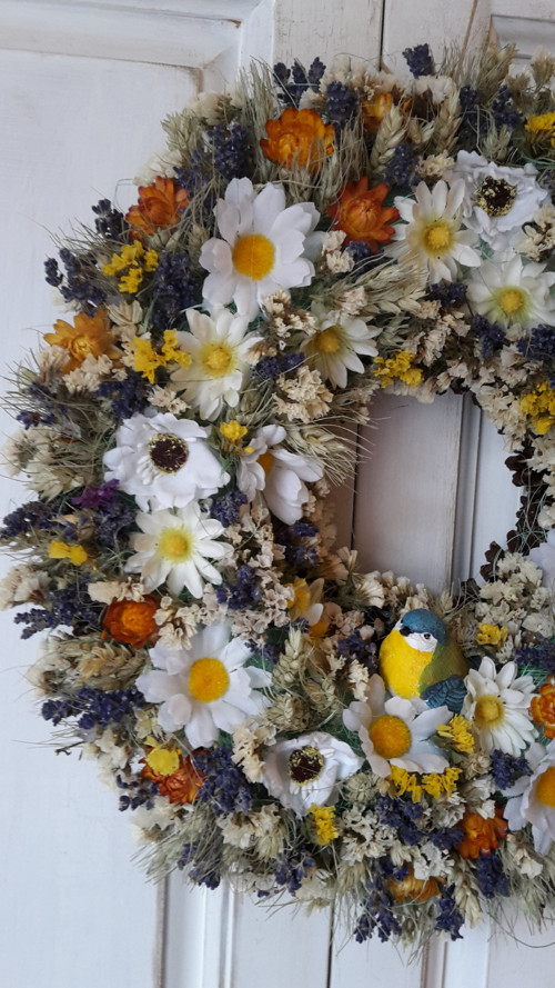 Letní louka — foto 4