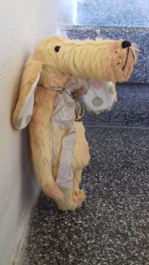 Pejsek Štaflík — foto 4