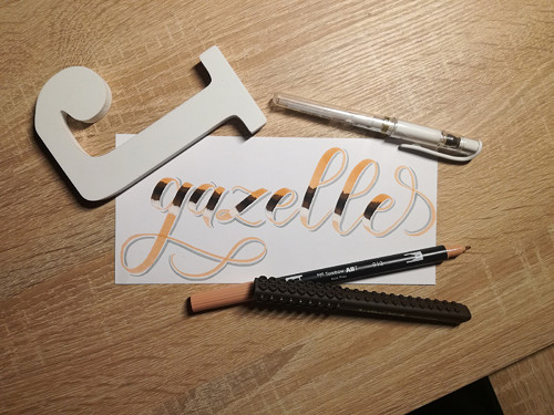 Gazelle (A5) — foto 2