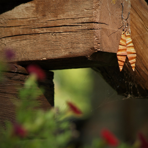 Dřevěné naušnice LXXXII. — foto 2