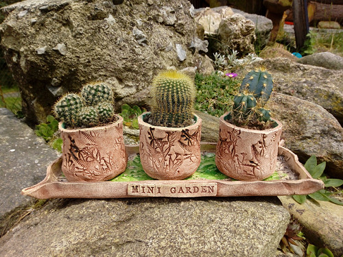 Mini Garden — foto 3