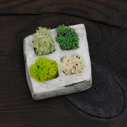 Miniatúrna RAKU záhrada — foto 2