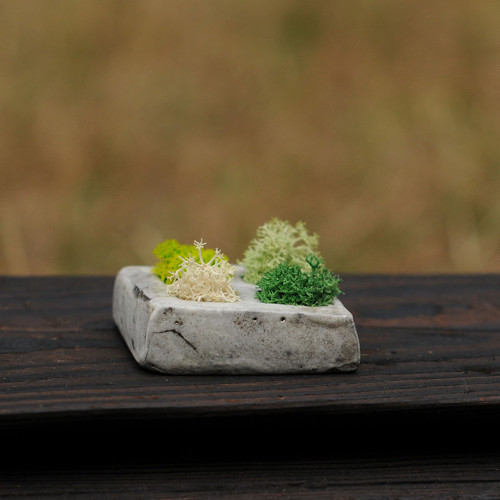 Miniatúrna RAKU záhrada — foto 3