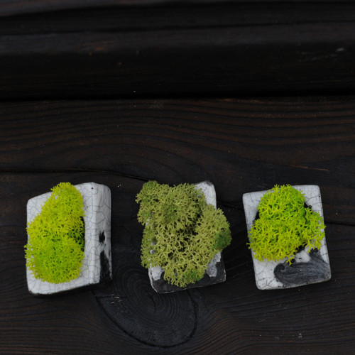 Miniatúrna RAKU záhrada — foto 3