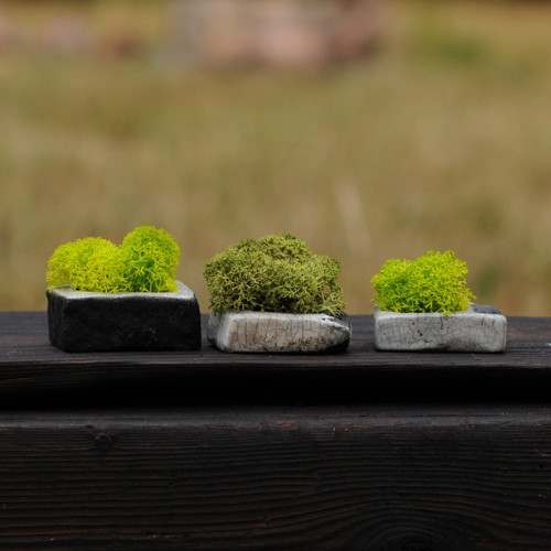 Miniatúrna RAKU záhrada — foto 4