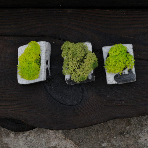 Miniatúrna RAKU záhrada — foto 5
