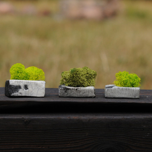 Miniatúrna RAKU záhrada — foto 2