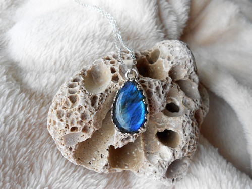 Blue hope — foto 4