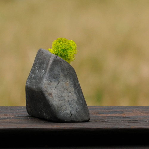 Miniatúrna RAKU záhrada — foto 2