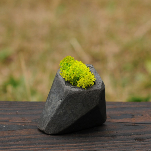 Miniatúrna RAKU záhrada — foto 3