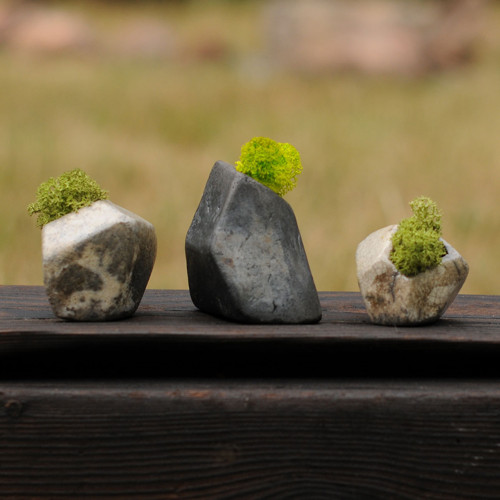 Miniatúrna RAKU záhrada — foto 4