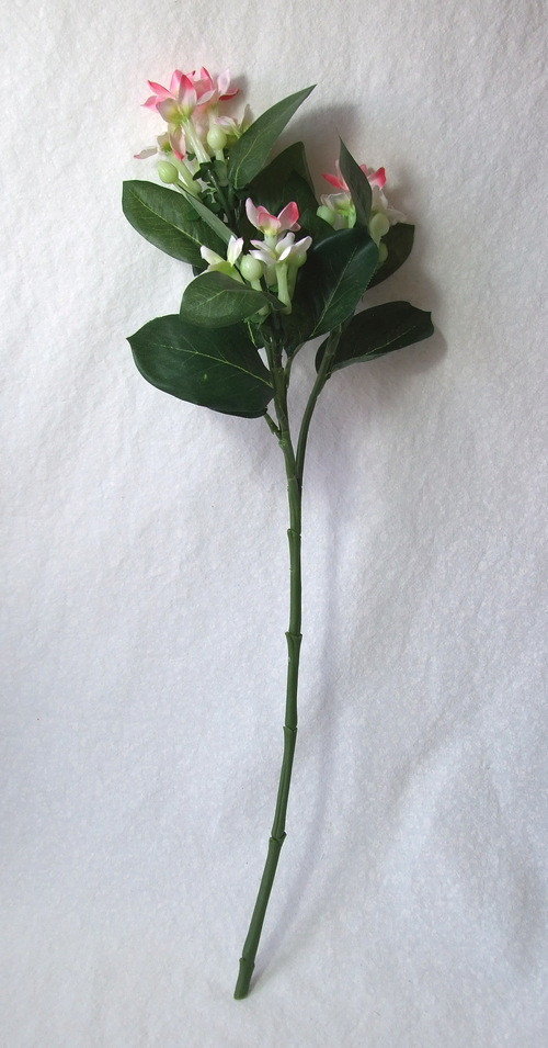 Stephanotis růžový 58 cm — foto 2