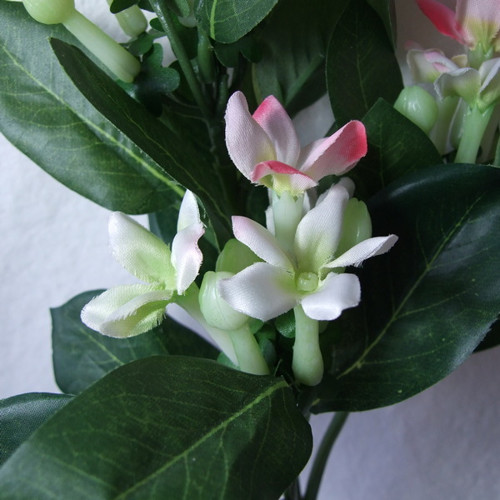 Stephanotis růžový 58 cm — foto 3