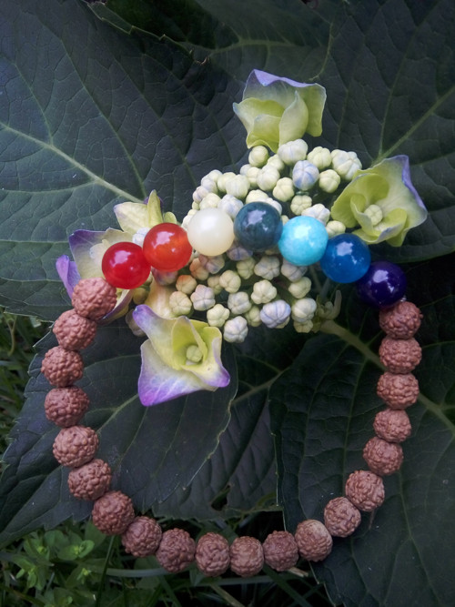 Náramek rudraksha, acháty, amazonit a nefrit — foto 2