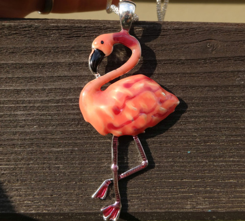 Plameňáková — foto 2