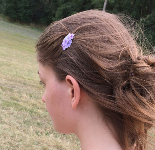 Hřebínek mini — foto 6