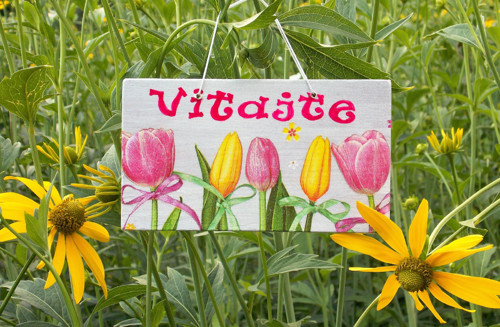 Cedulka nad dveře Tulipánová — foto 2
