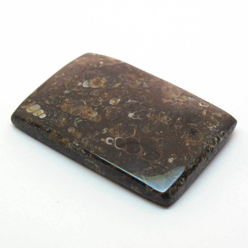 Kabošon turritella obdelník 43mm — foto 2