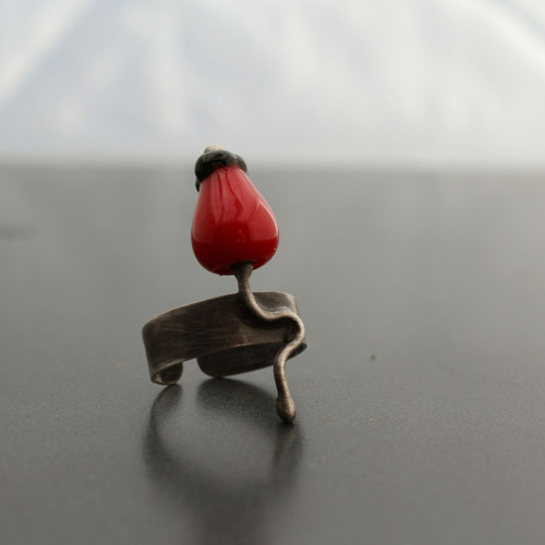 Z ŠÍPKOVÉHO KEŘE ... prsten — foto 2