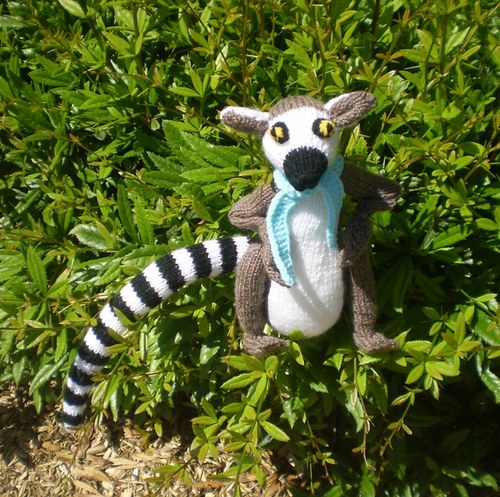 Lemur — foto 3