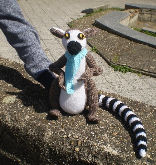 Lemur — foto 5