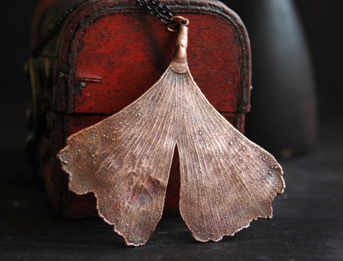 Pokovený list Ginkgo — foto 4