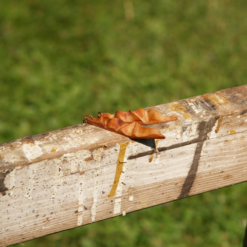 Dřevěné naušnice CVII. — foto 3