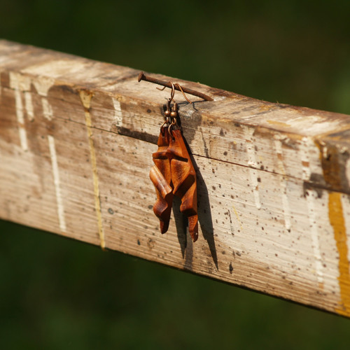 Dřevěné naušnice CXIV. — foto 3