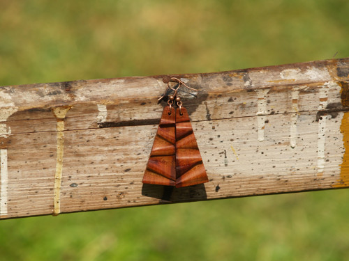 Dřevěné naušnice CXVII. — foto 4