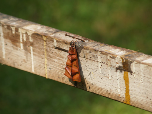 Dřevěné naušnice CXVII. — foto 5