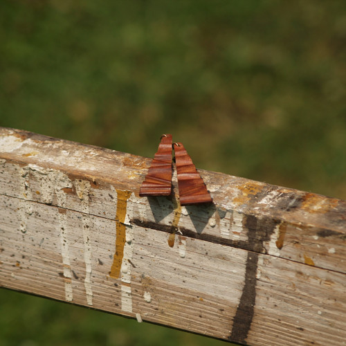 Dřevěné naušnice CXXI. — foto 3