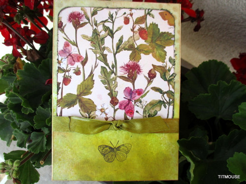 Mám ráda cestu lesní — foto 2