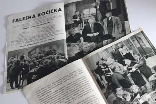 Bio-program v obrazech, Falešná kočička — foto 2
