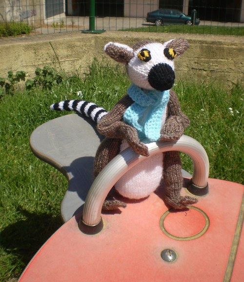Lemur — foto 6