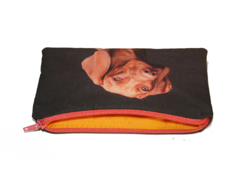 Vizsla II (MINI kapsička) — foto 3