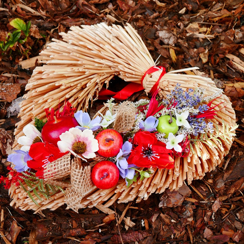 Srdíčko podzimní - červená jablíčka — foto 2