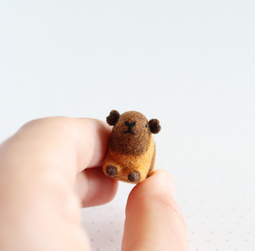 Mini morčátko do skořápky — foto 2