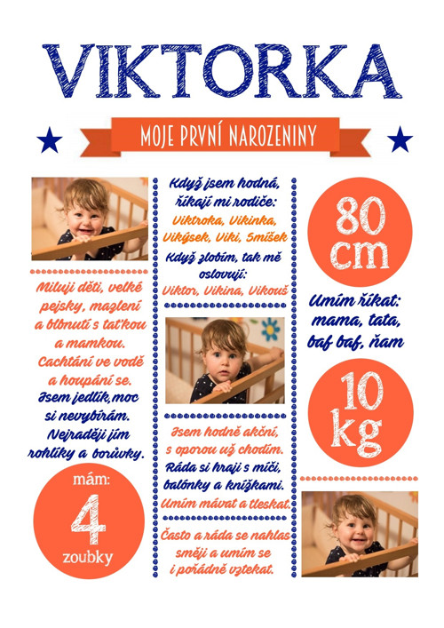 Plakát - můj první rok — foto 4