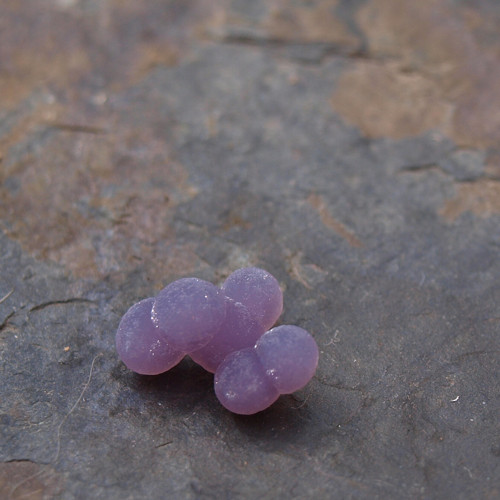 Chalcedon grape neboli hroznový č.1991 — foto 2